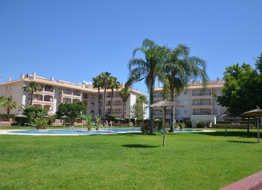 Перепродаж - Апартаменти - Orihuela Costa - Playa Flamenca