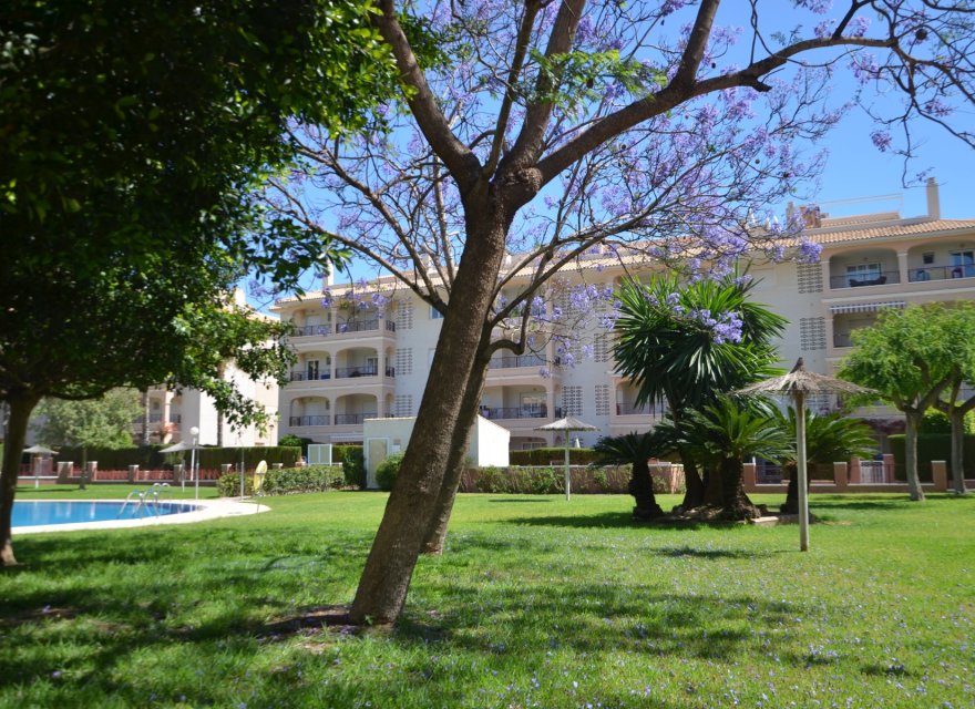 Перепродаж - Апартаменти - Orihuela Costa - Playa Flamenca