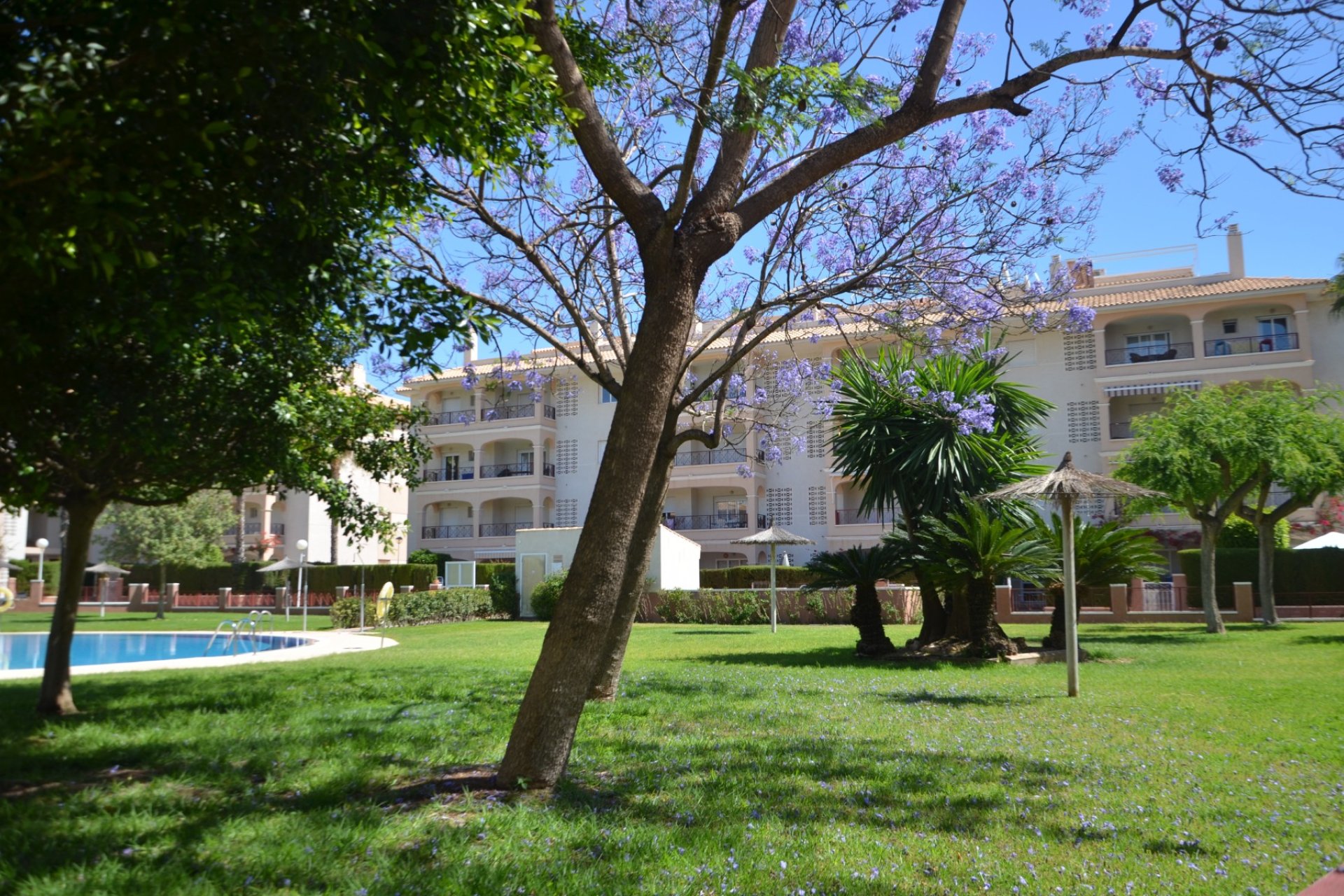 Перепродаж - Апартаменти - Orihuela Costa - Playa Flamenca