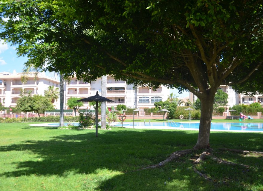 Перепродаж - Апартаменти - Orihuela Costa - Playa Flamenca