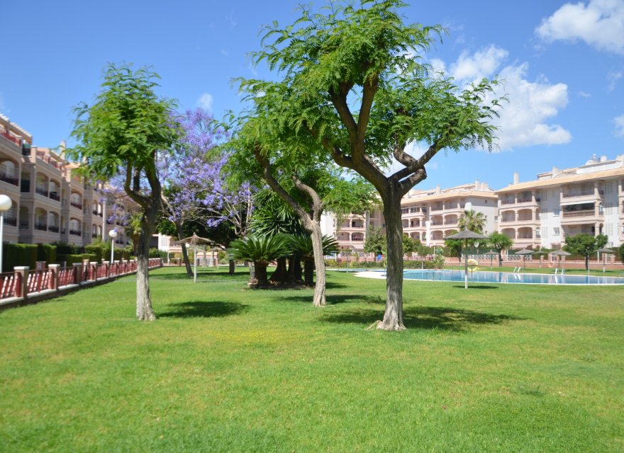 Перепродаж - Апартаменти - Orihuela Costa - Playa Flamenca