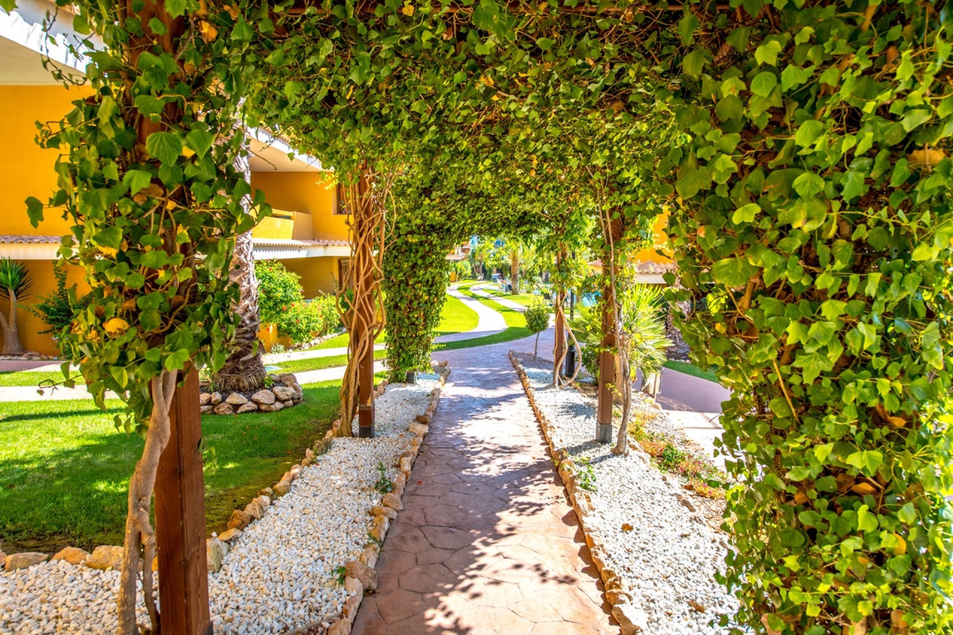 Перепродаж - Апартаменти - Torrevieja - Punta Prima