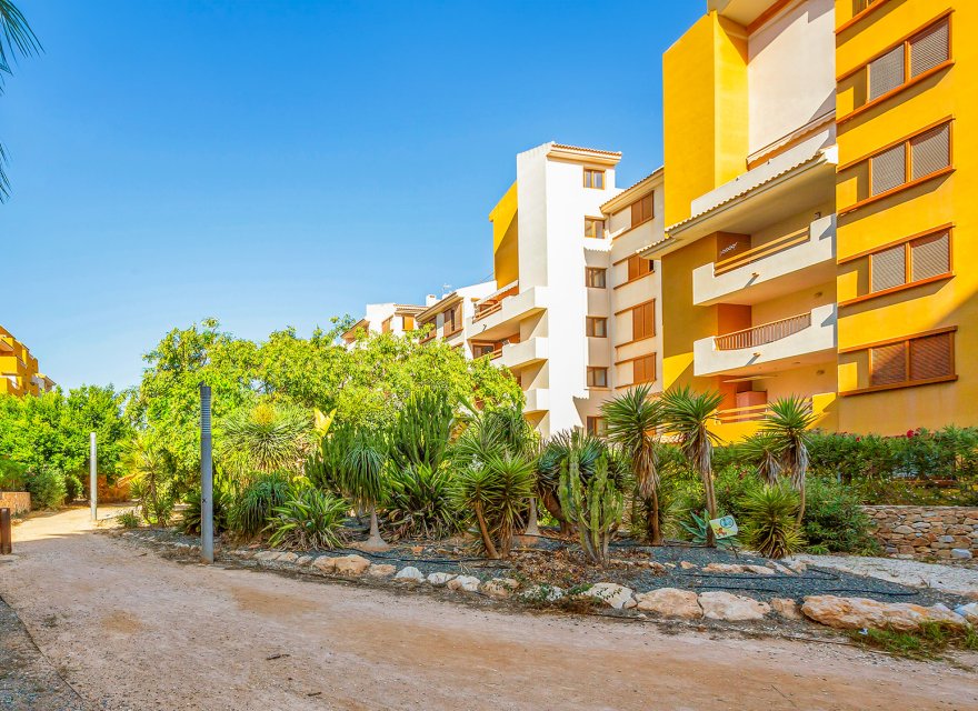 Перепродаж - Апартаменти - Torrevieja - Punta Prima