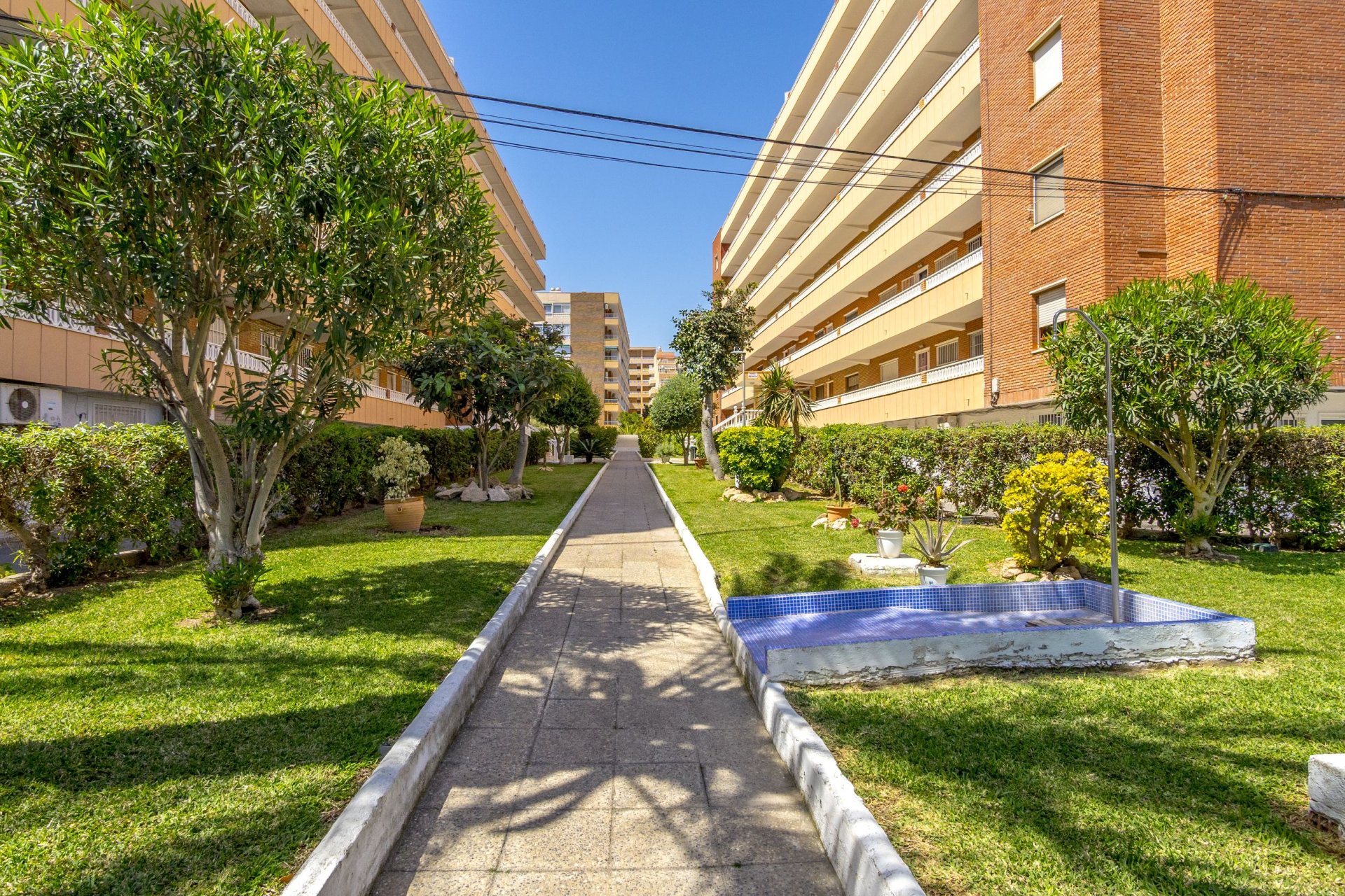 Перепродаж - Апартаменти - Torrevieja - Punta Prima