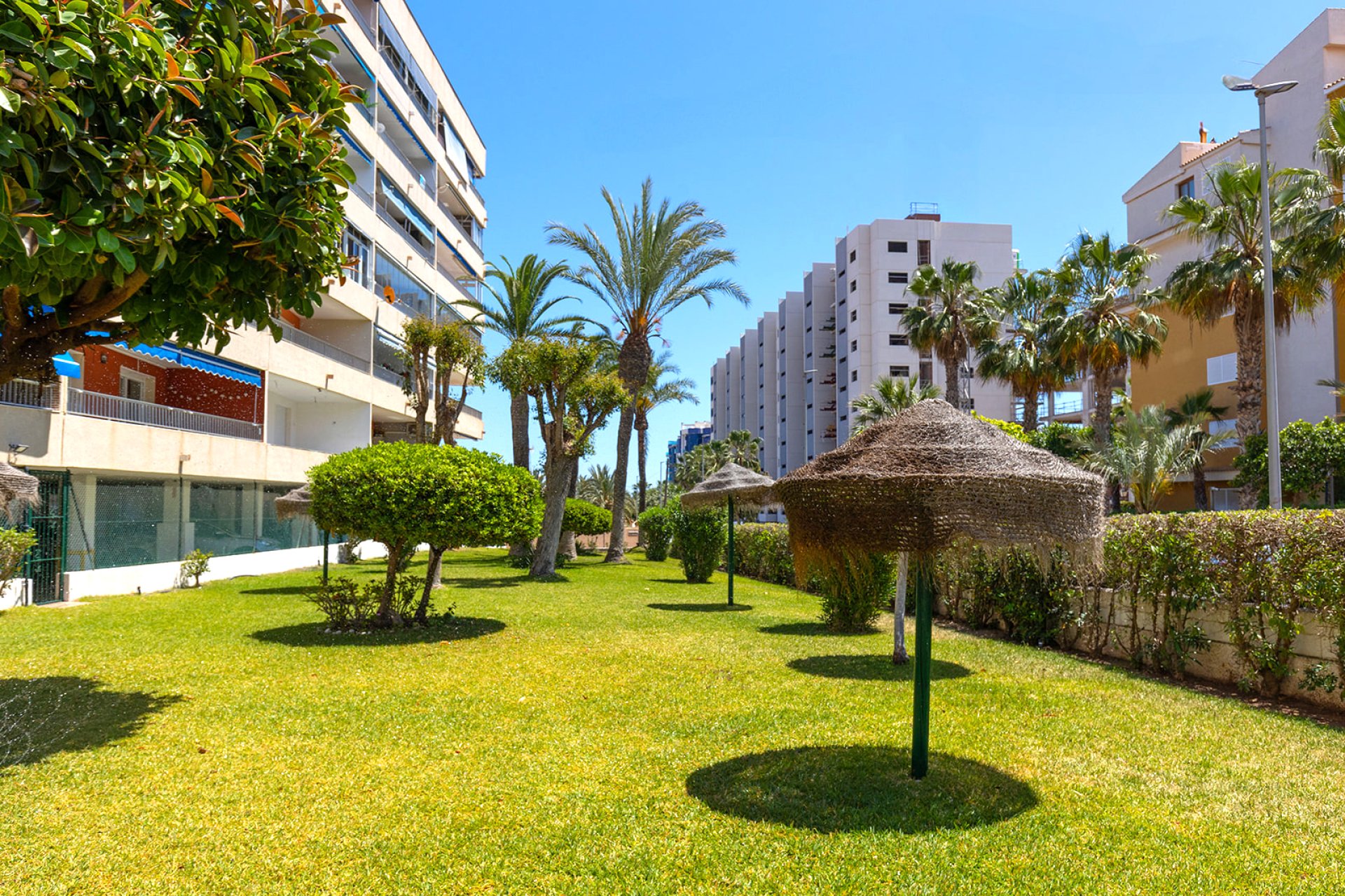 Перепродаж - Апартаменти - Torrevieja - 