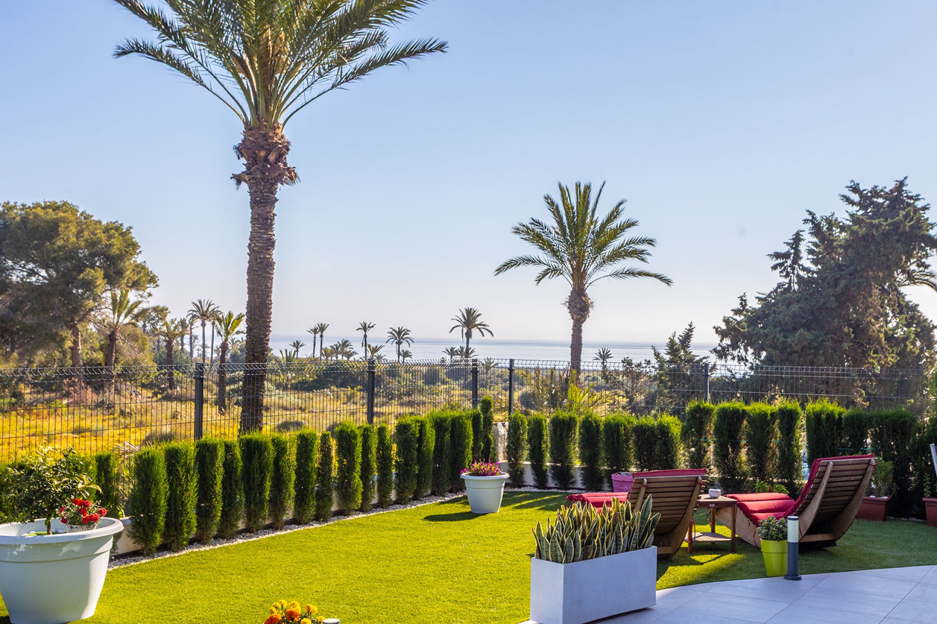 Перепродаж - Апартаменти - Torrevieja - 