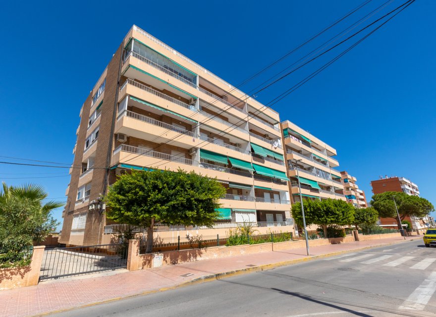 Перепродаж - Апартаменти - Torrevieja - 