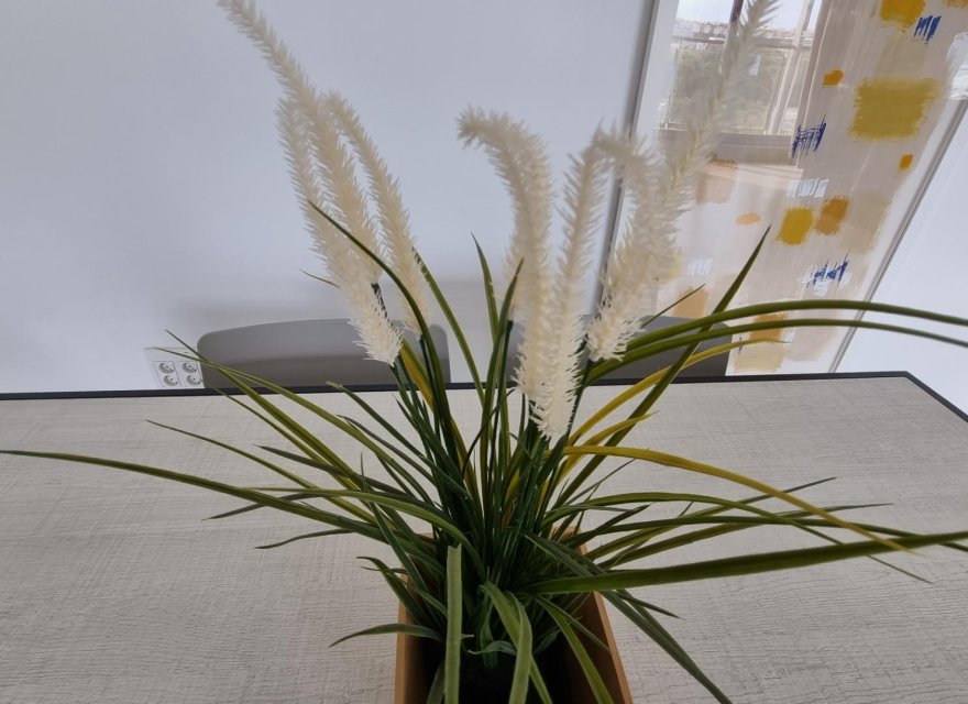 Перепродаж - Апартаменти - Valencia - Patraix