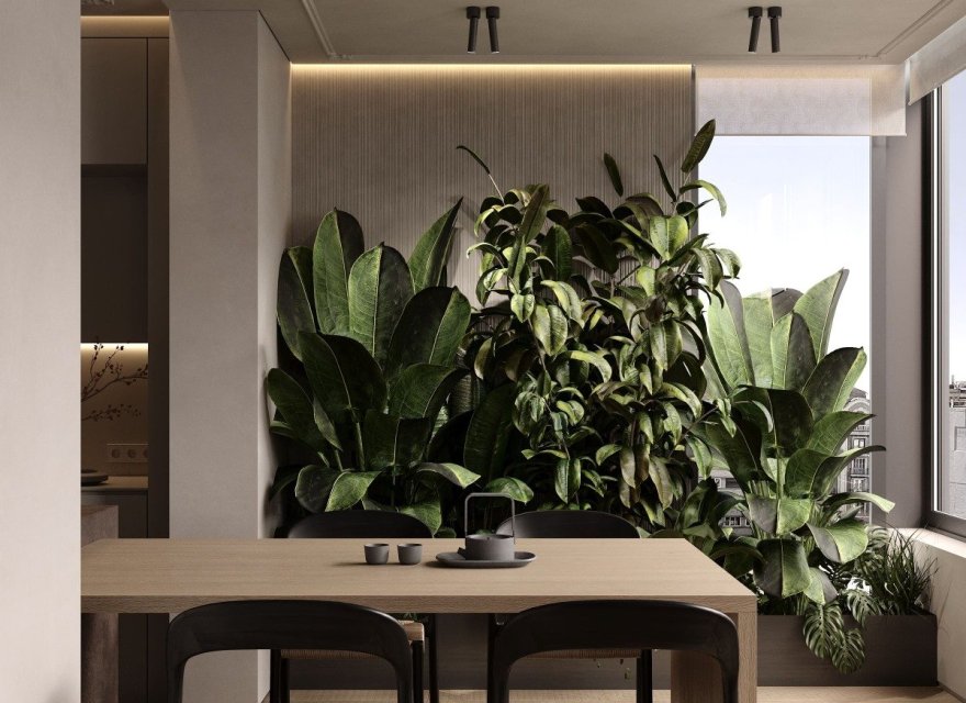 Перепродаж - Апартаменти - Zona Alta - 