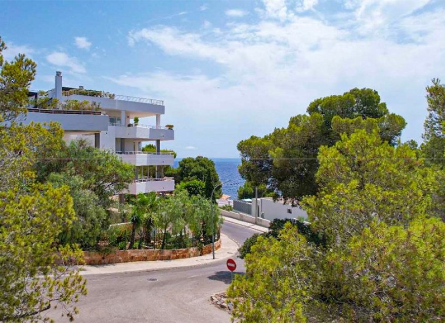 Перепродаж - Ділянка - Cala Viñes