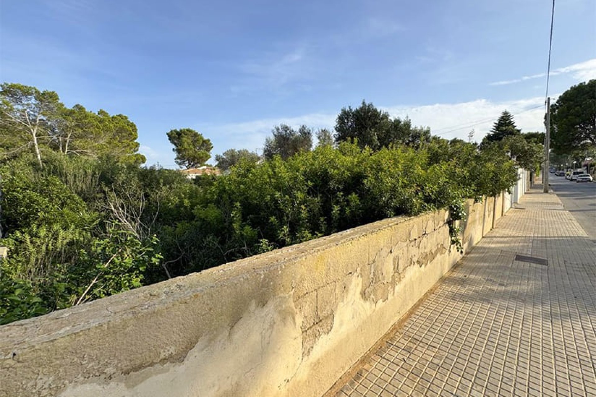 Перепродаж - Ділянка - El Toro