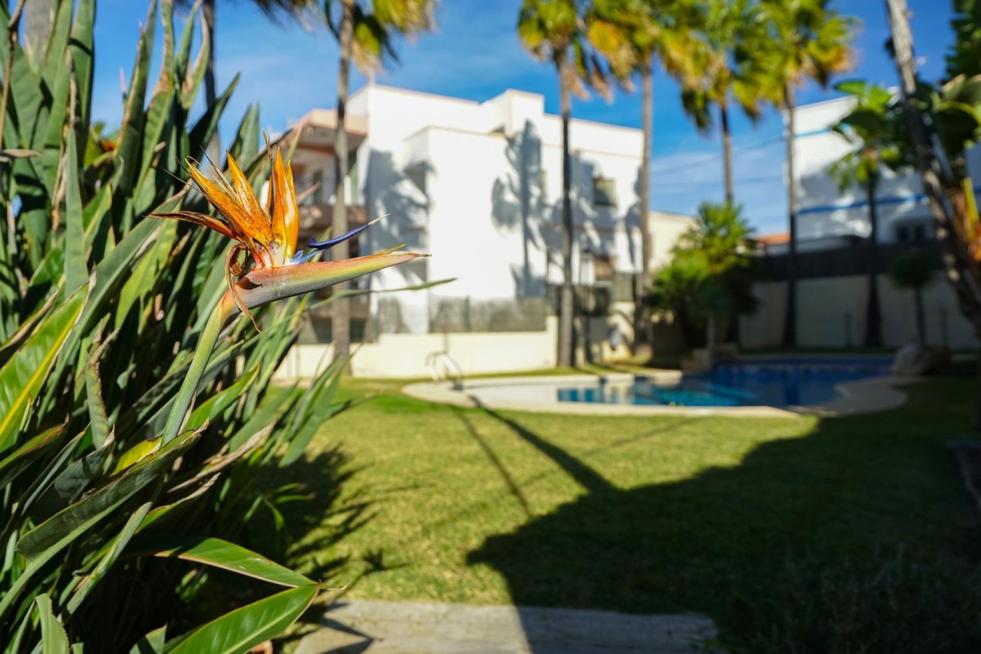 Перепродаж - Дуплекс - Jávea - Jávea/Xàbia