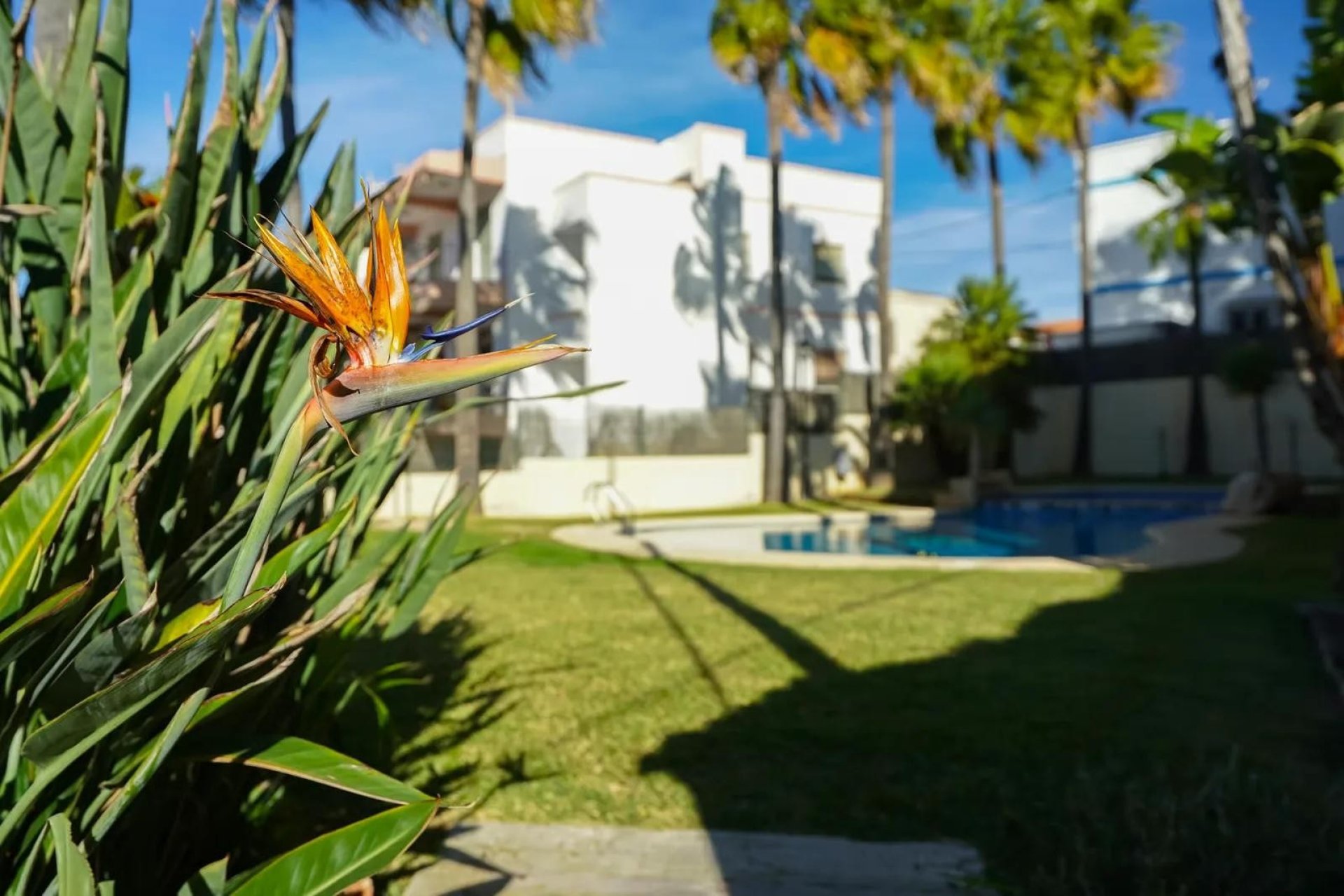 Перепродаж - Дуплекс - Jávea - Javea