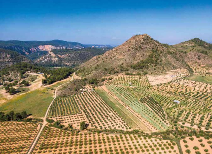 Перепродаж - Komercyjna - Costa Blanca