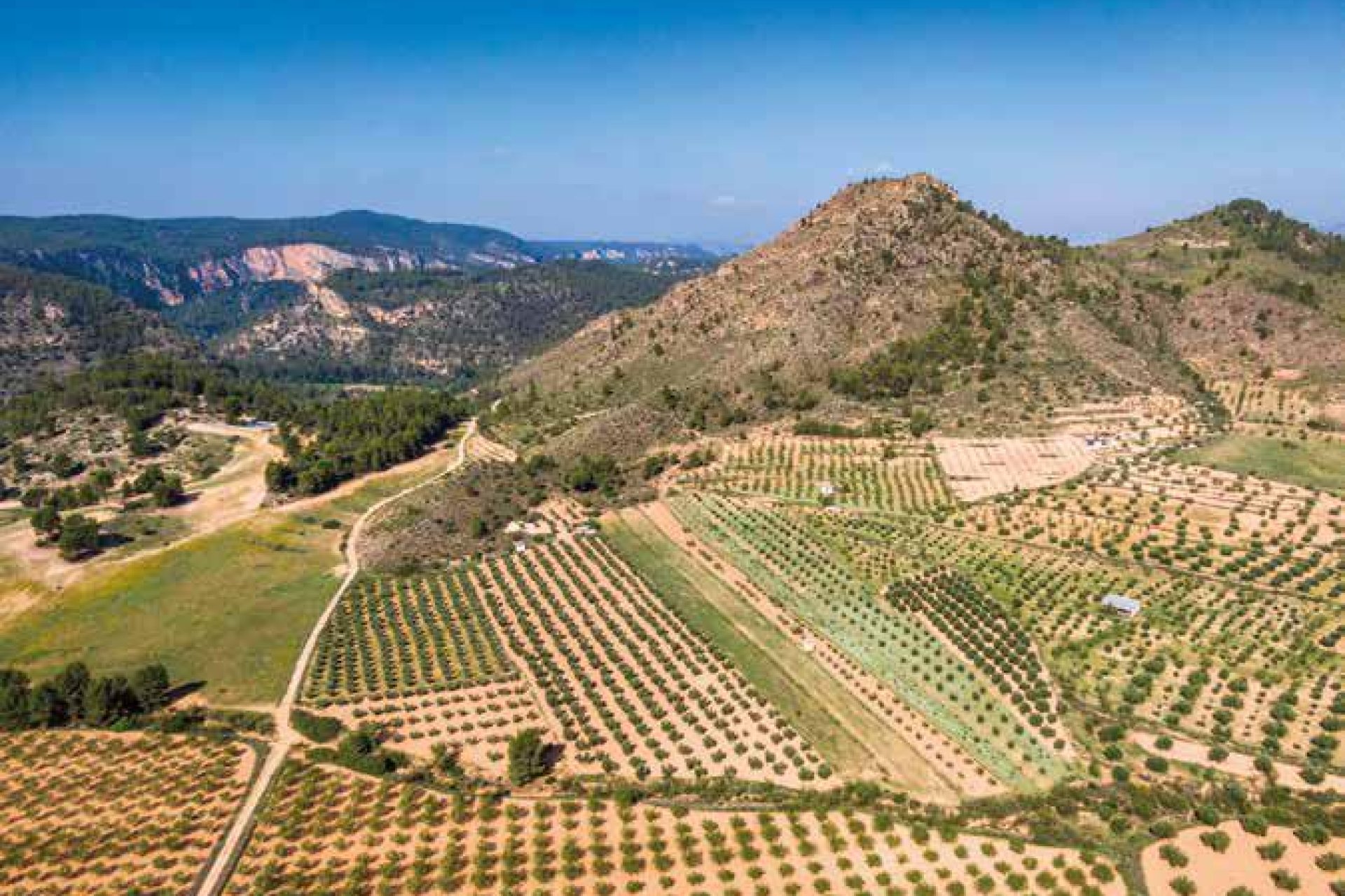 Перепродаж - Komercyjna - Costa Blanca