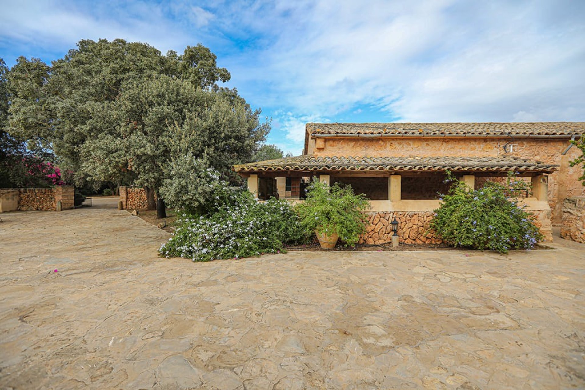 Перепродаж - Komercyjna - Llucmajor