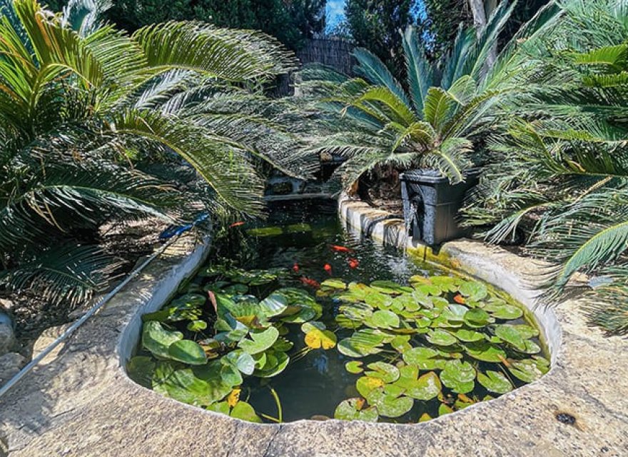 Перепродаж - Вілла - El Toro