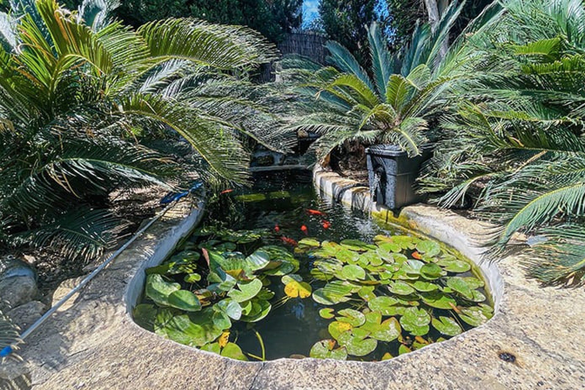 Перепродаж - Вілла - El Toro