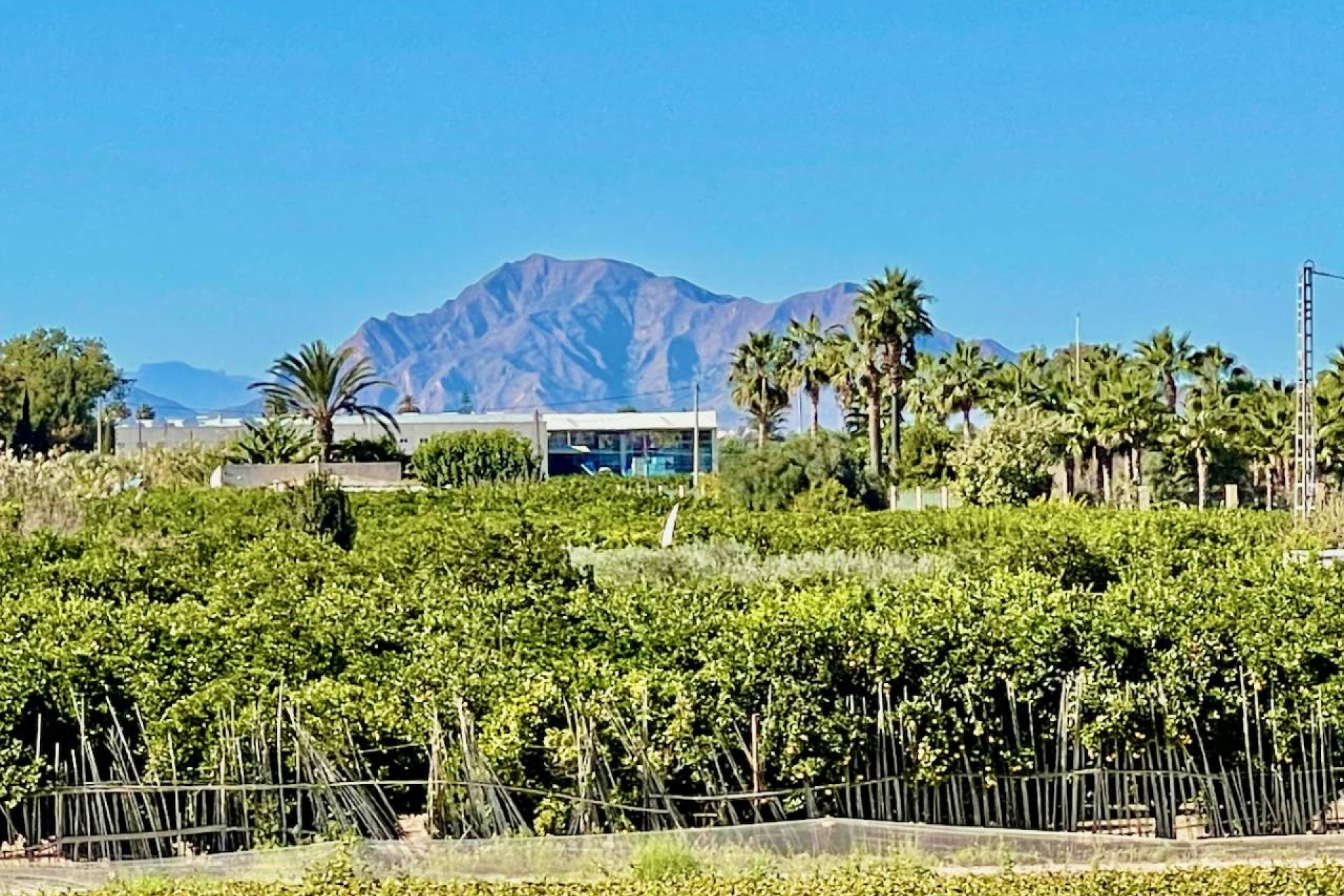 Перепродаж - Вілла - Guardamar del Segura