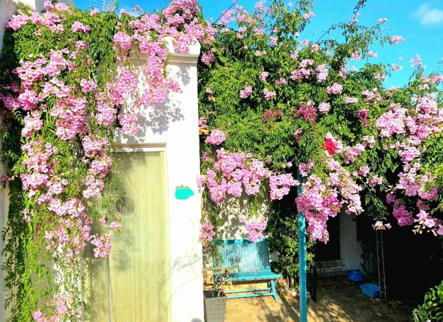 Перепродаж - Вілла - Jávea - Jávea/Xàbia