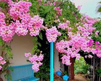 Перепродаж - Вілла - Jávea - Jávea/Xàbia