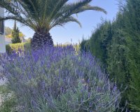 Перепродаж - Вілла - Jávea - Jávea/Xàbia