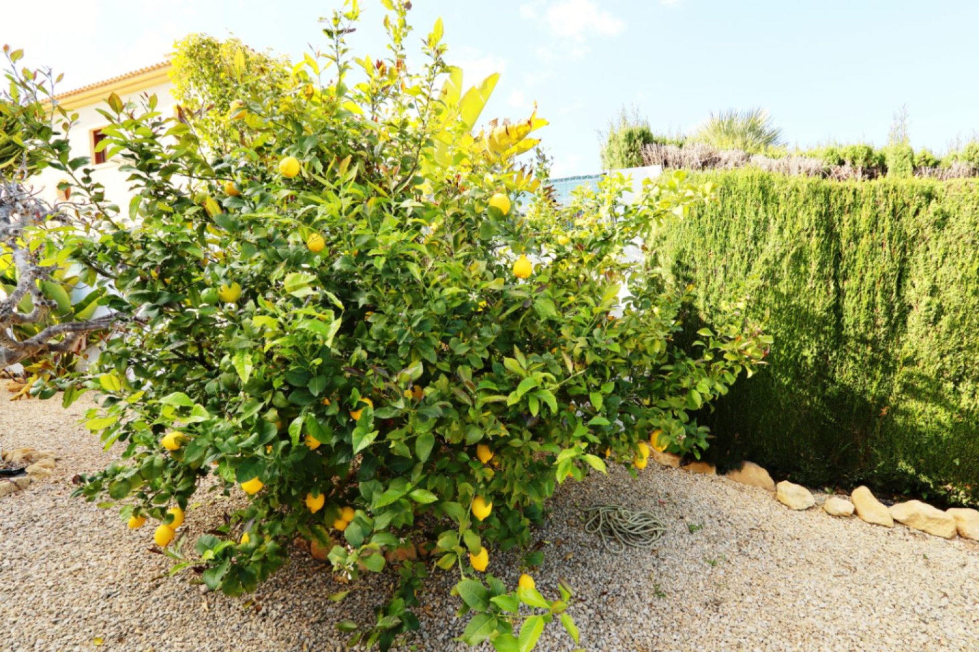 Перепродаж - Вілла - La Nucía - Costa Blanca