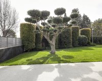 Перепродаж - Вілла - Pedralbes - 