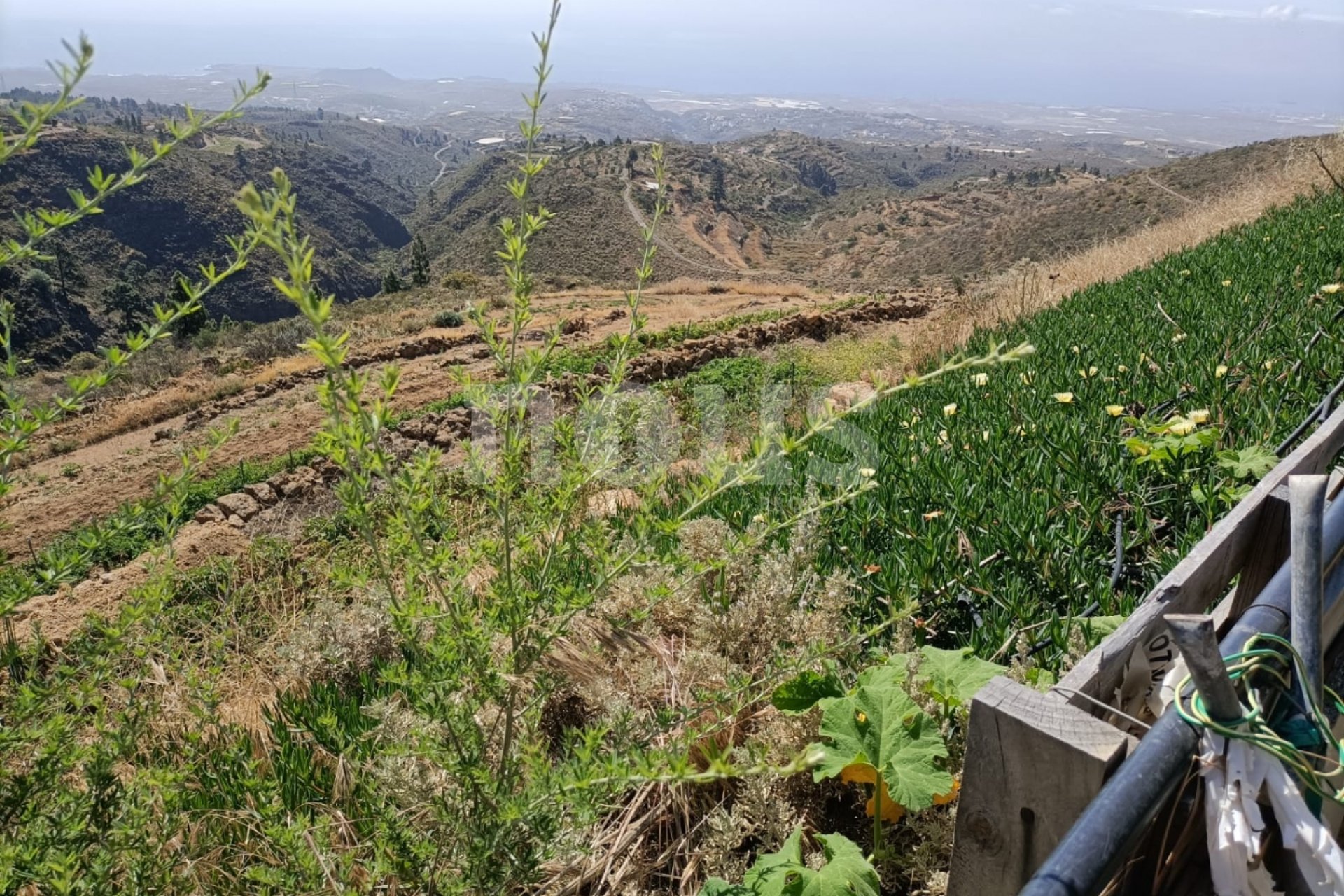 Перепродаж - Вілла - 