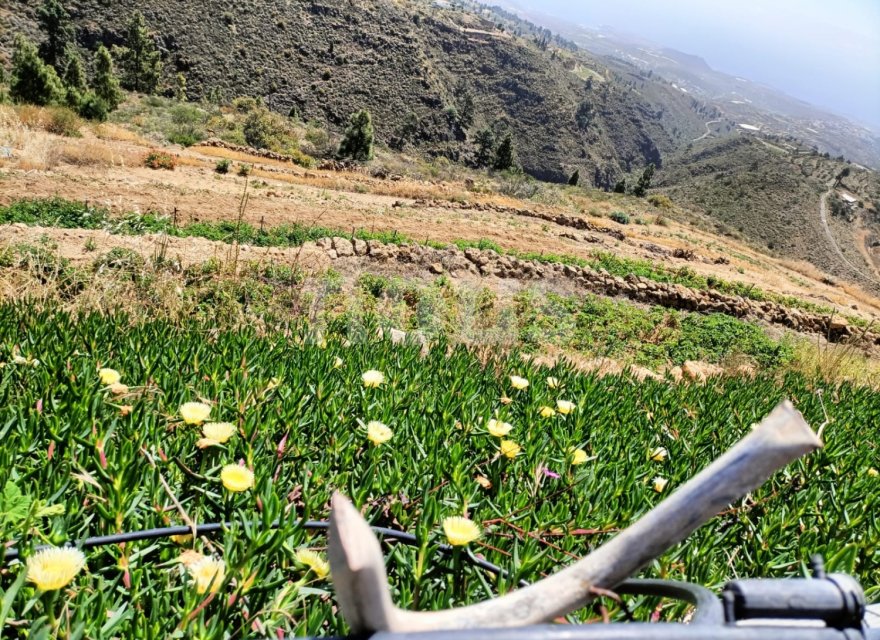 Перепродаж - Вілла - 