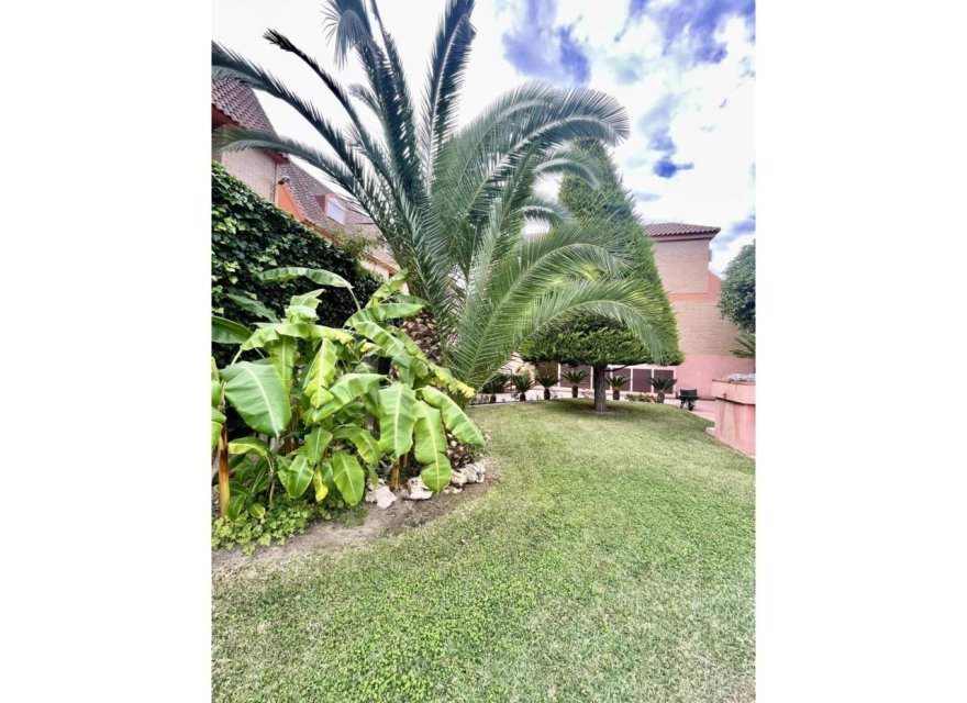 Перепродажа - Дуплекс - Alicante (San Juan) - Cabo de las Huertas