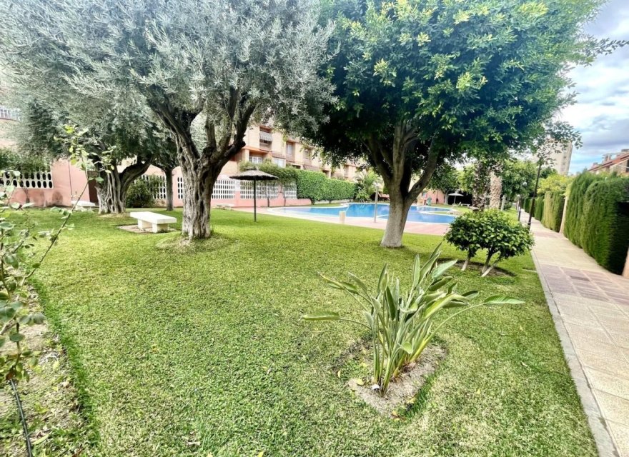 Перепродажа - Дуплекс - Alicante (San Juan) - Cabo de las Huertas