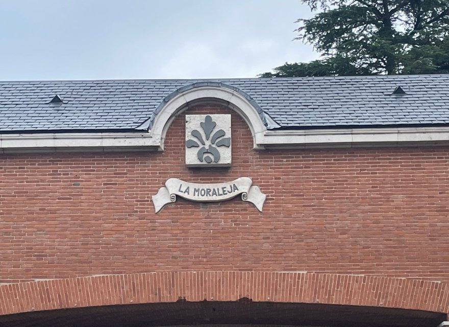 Перепродажа - Дуплекс - Madrid - La Moraleja