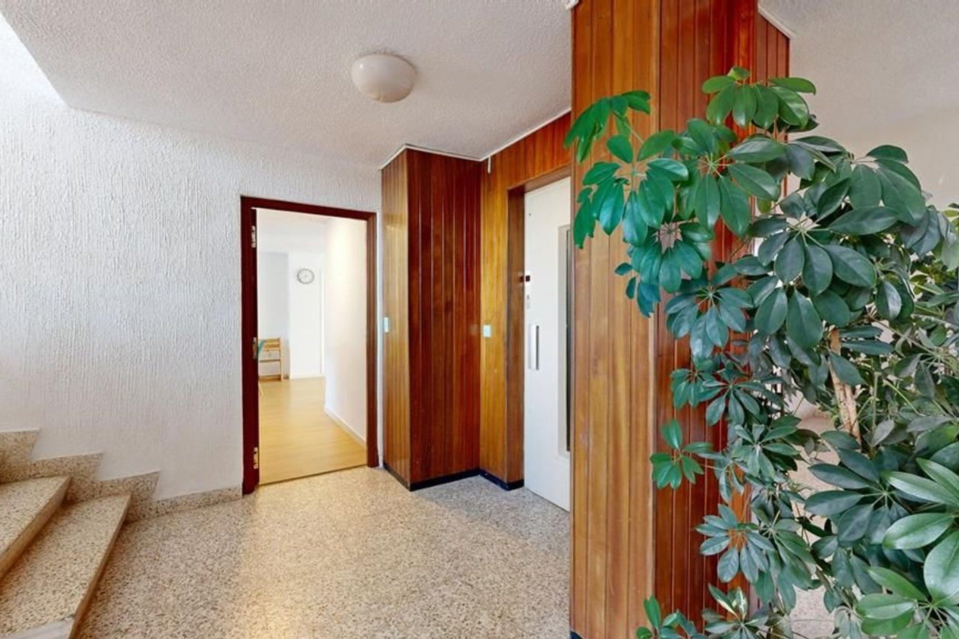 Перепродажа - Квартира - Alicante - Alicante (San Juan)