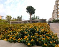 Перепродажа - Квартира - Alicante (San Juan) - San Juan de Alicante