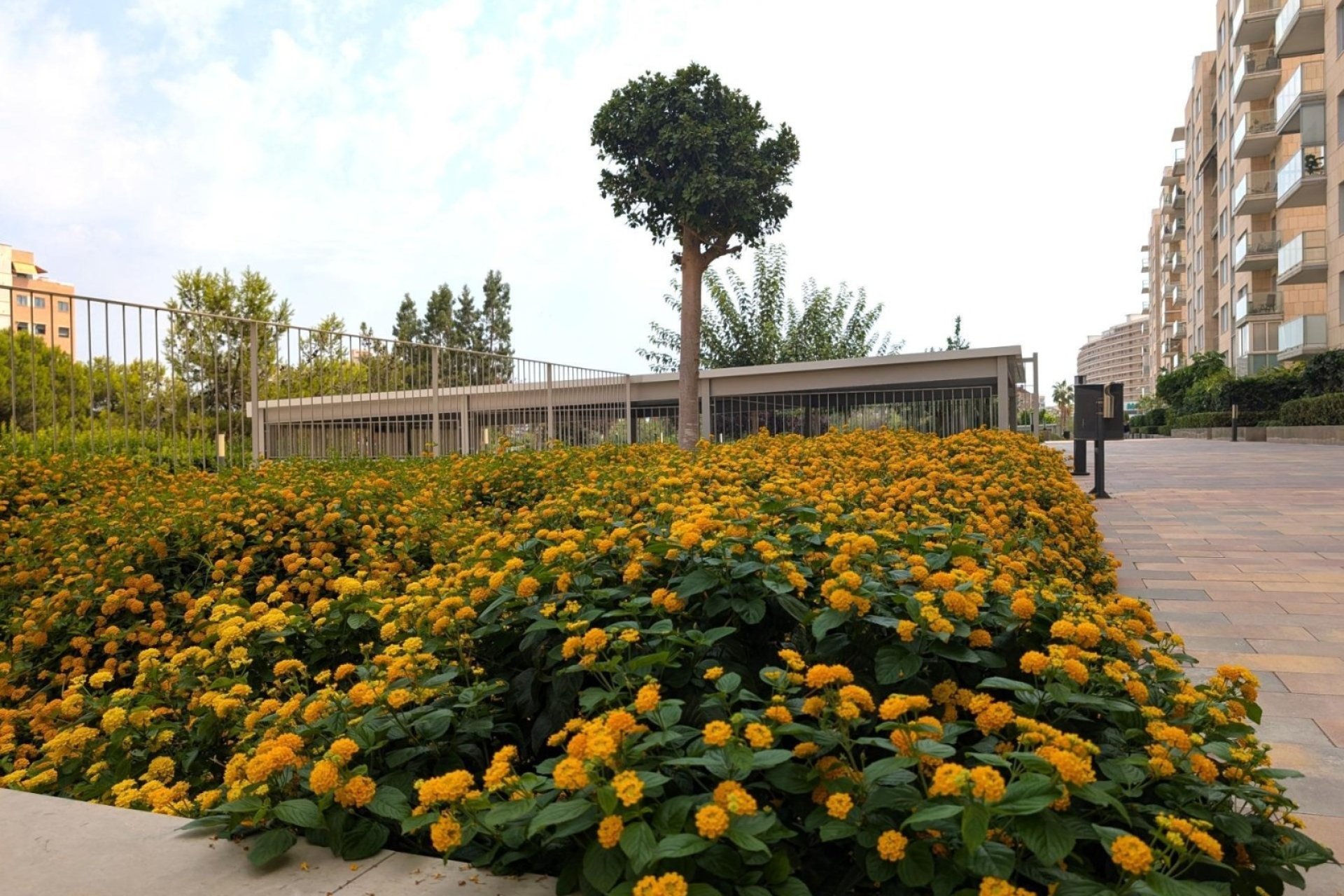 Перепродажа - Квартира - Alicante (San Juan) - San Juan de Alicante