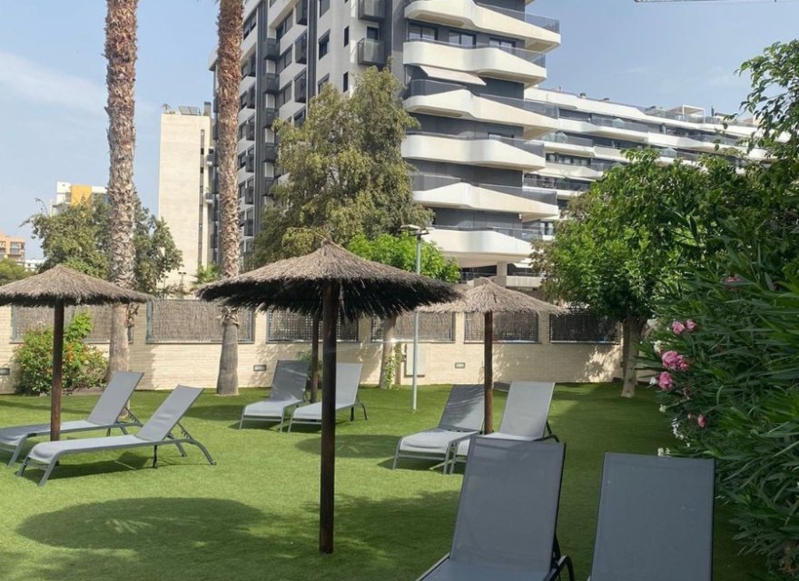 Перепродажа - Квартира - Alicante (San Juan) - San Juan de Alicante