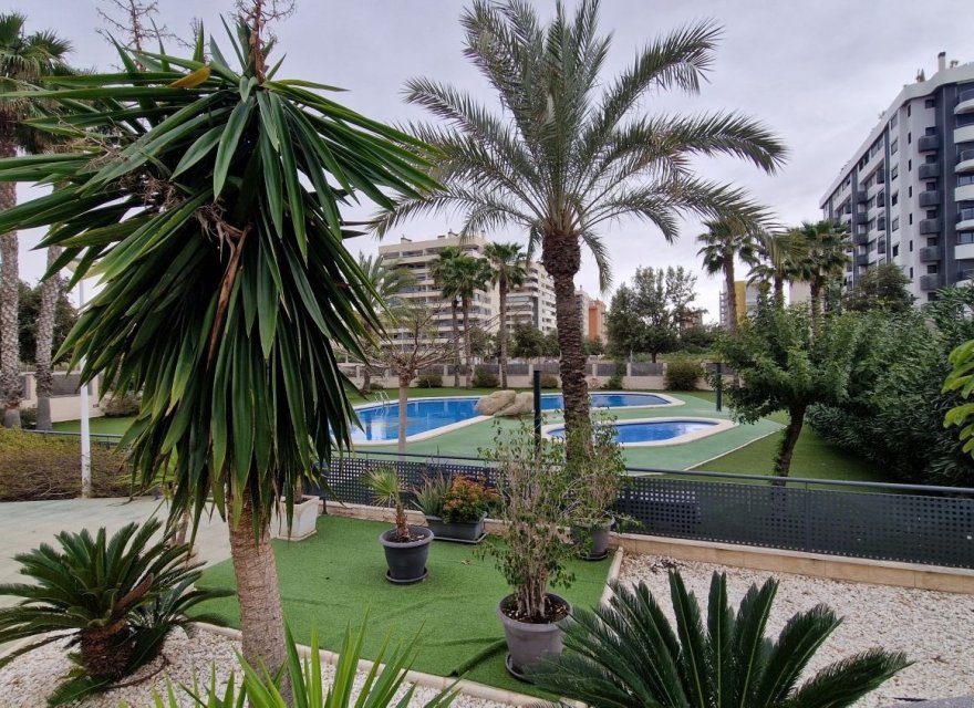 Перепродажа - Квартира - Alicante (San Juan) - San Juan de Alicante