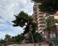 Перепродажа - Квартира - Alicante