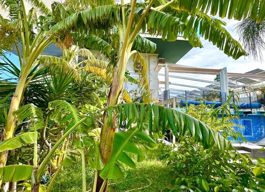 Перепродажа - Квартира - Benidorm - Finestrat