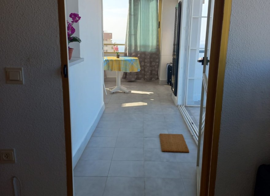 Перепродажа - Квартира - Benidorm - Juzgados