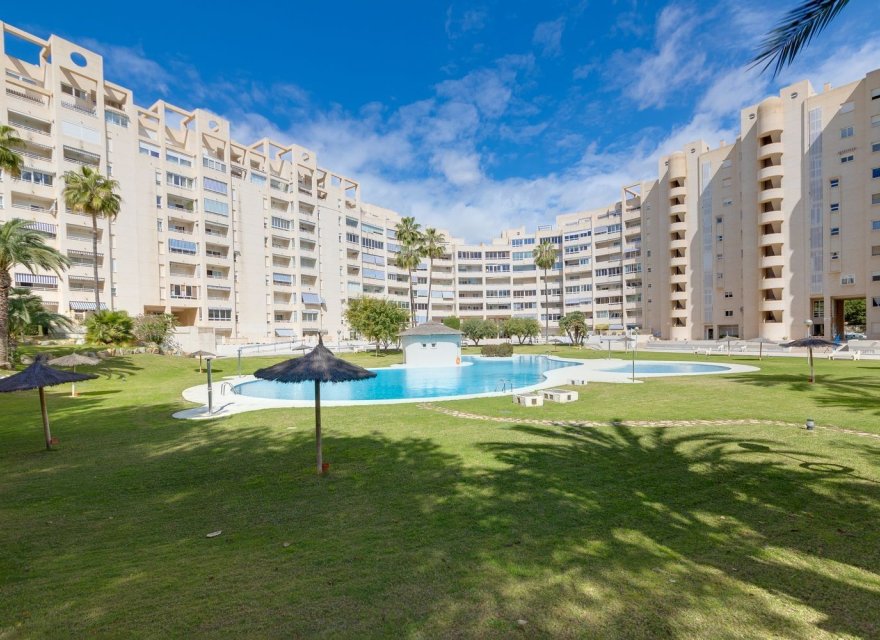 Перепродажа - Квартира - El Campello - Playa Muchavista