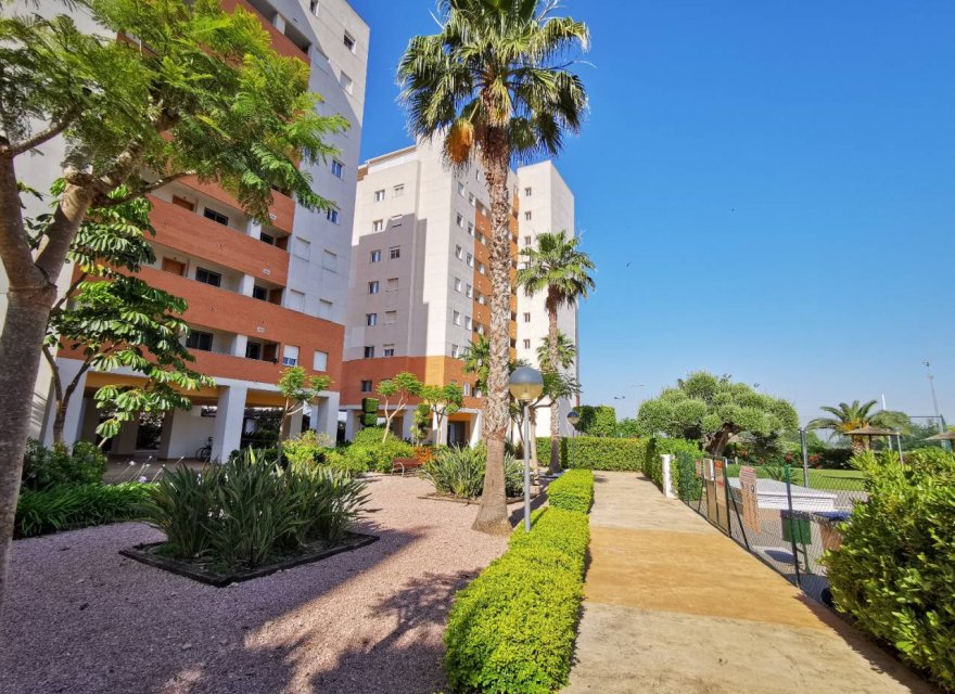 Перепродажа - Квартира - Guardamar del Segura - Puerto