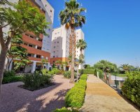 Перепродажа - Квартира - Guardamar del Segura - Puerto