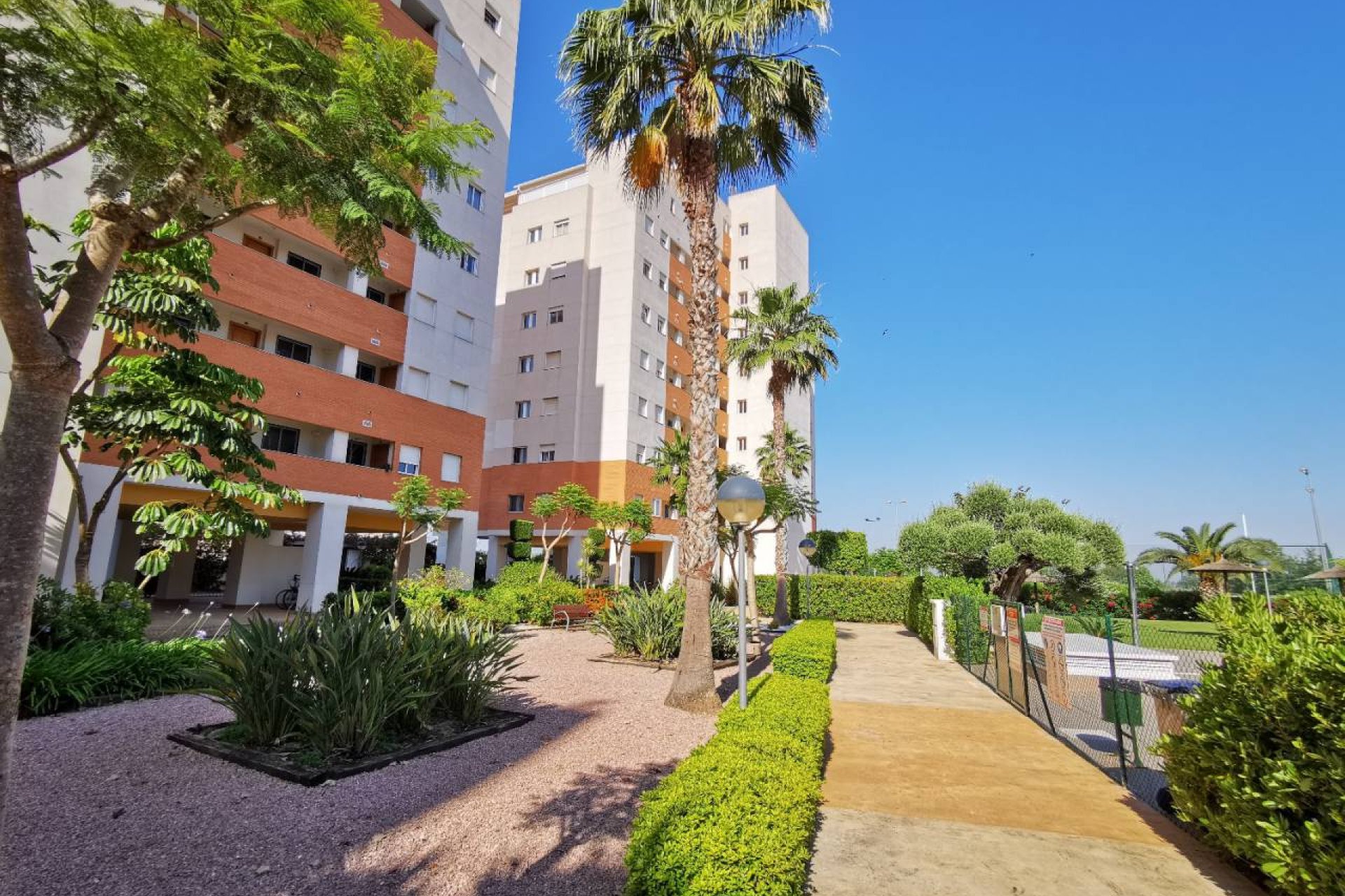 Перепродажа - Квартира - Guardamar del Segura - Puerto