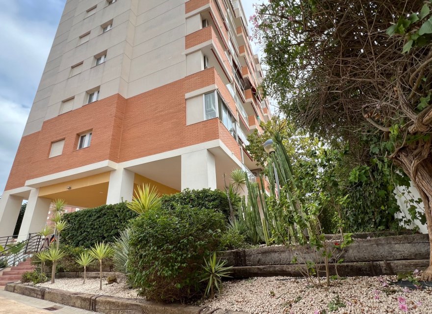 Перепродажа - Квартира - Guardamar del Segura - Puerto