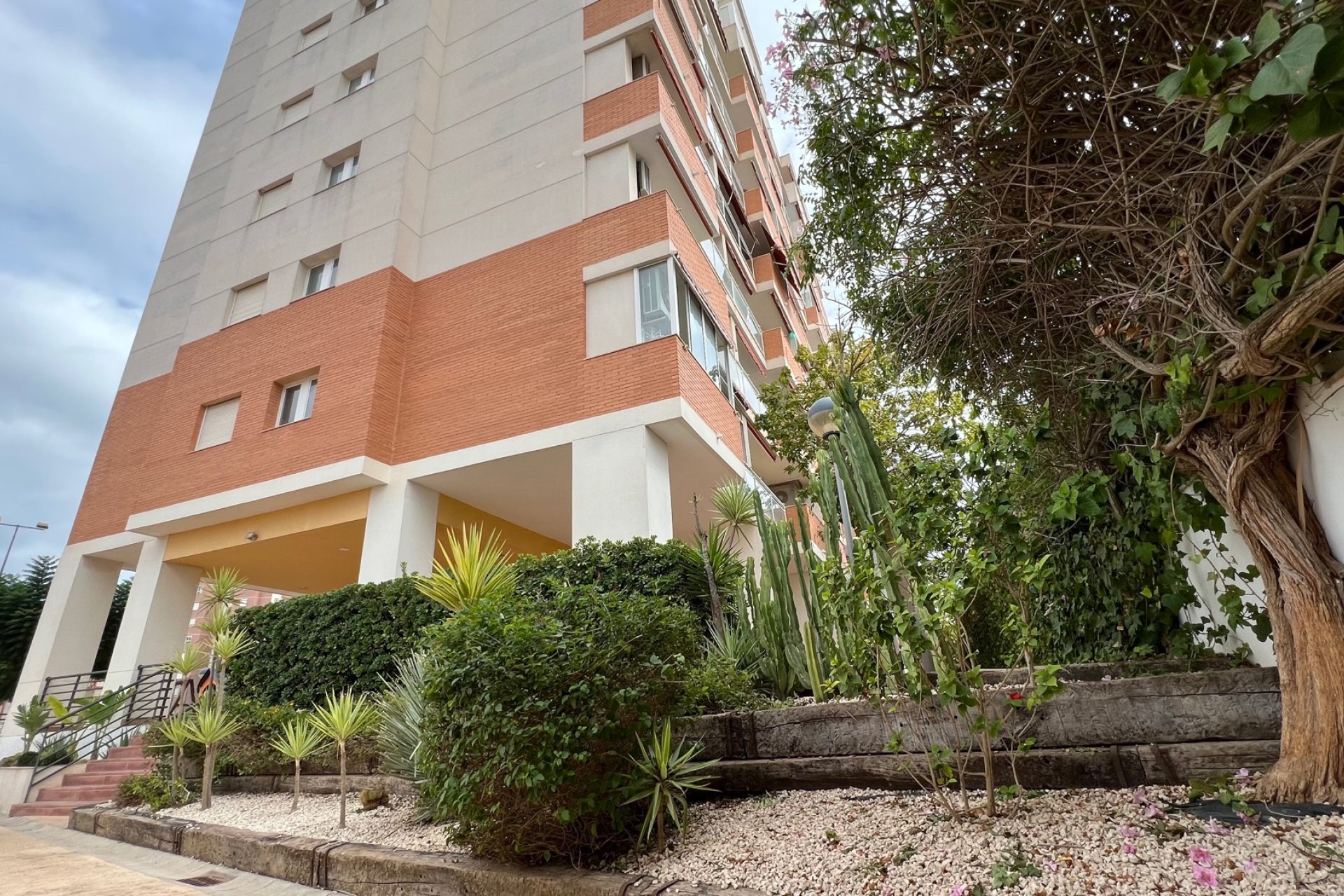 Перепродажа - Квартира - Guardamar del Segura - Puerto