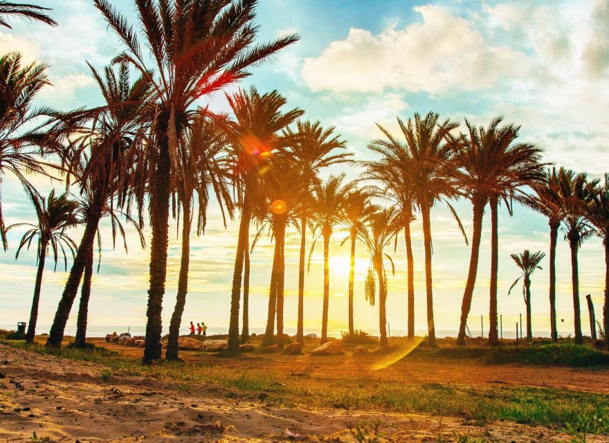 Перепродажа - Квартира - Ориуэла Коста - Orihuela Costa