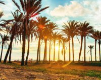 Перепродажа - Квартира - Ориуэла Коста - Orihuela Costa