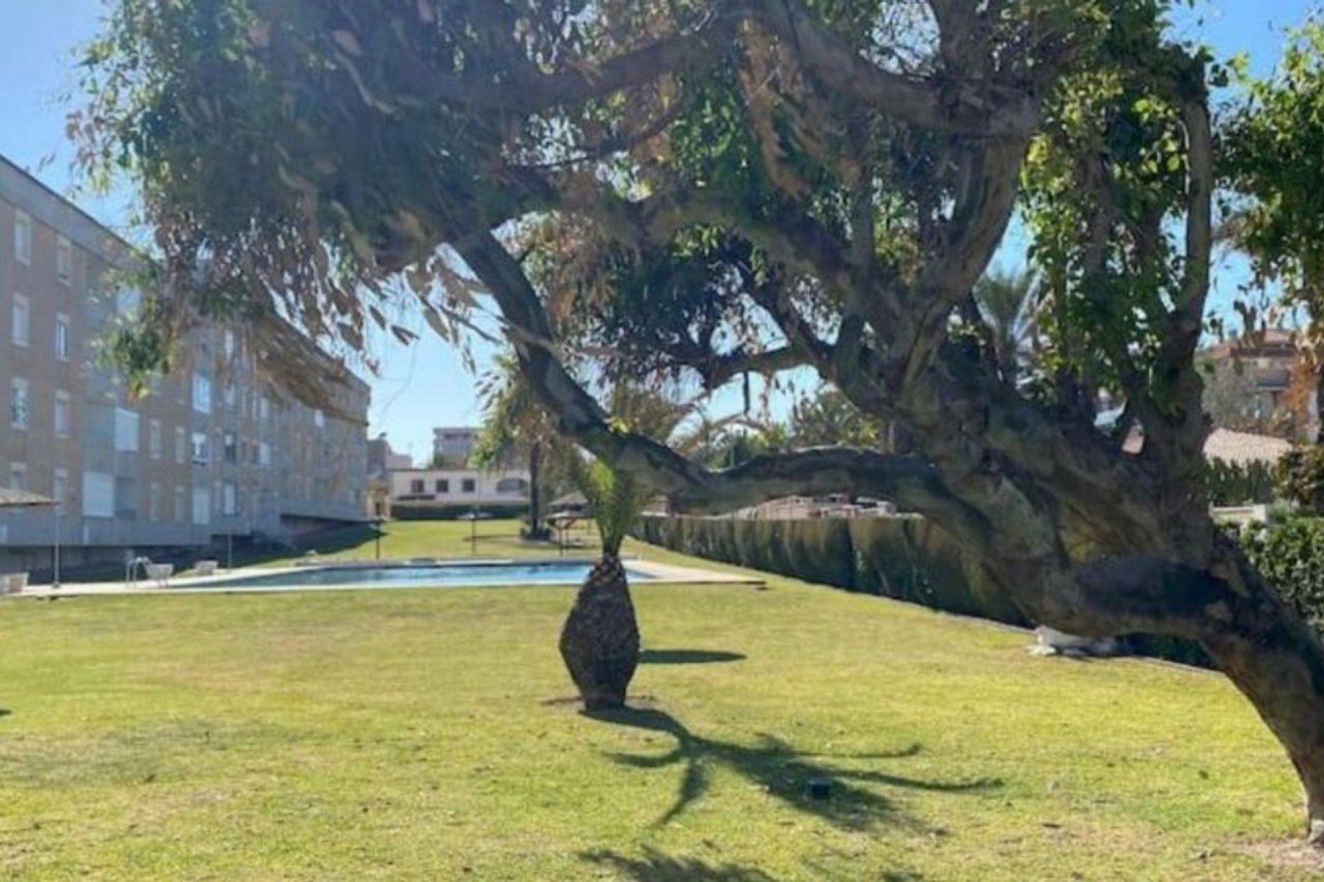 Перепродажа - Квартира - Punta Prima